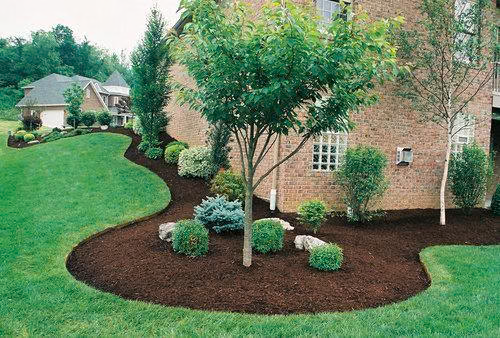 Modern Landscape Designs with Dark Brown Mulch